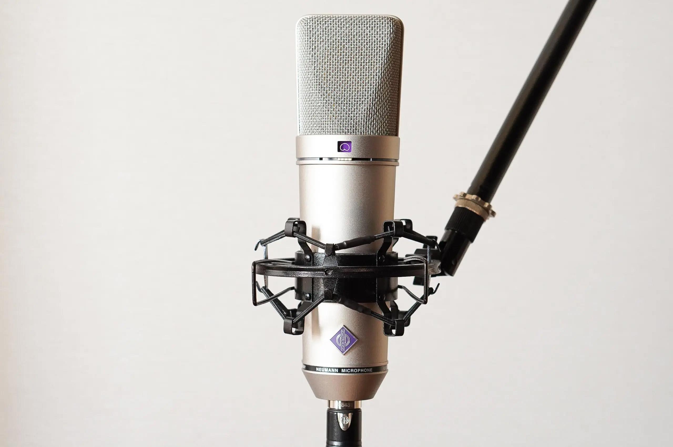 新品 自作 コンデンサーマイク Neumann TLM103 クローン mod-